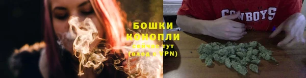 ГАЛЛЮЦИНОГЕННЫЕ ГРИБЫ Балабаново
