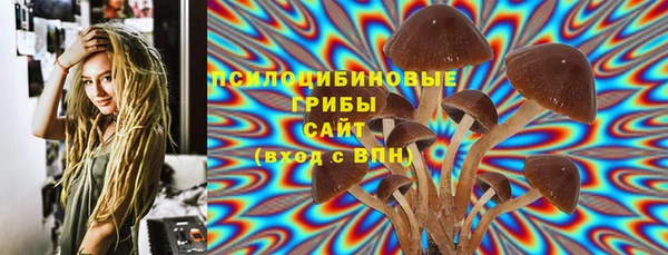 ГАЛЛЮЦИНОГЕННЫЕ ГРИБЫ Балабаново