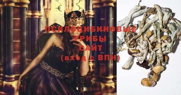 твердый Баксан