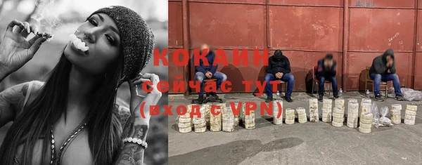 ГАЛЛЮЦИНОГЕННЫЕ ГРИБЫ Балабаново