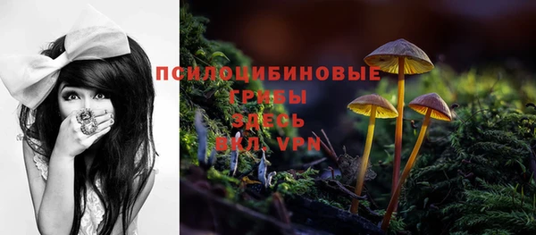 мескалин Балахна