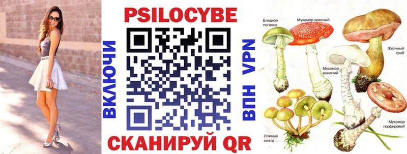 mega вход  Заводоуковск  Псилоцибиновые грибы ЛСД  где найти наркотики 